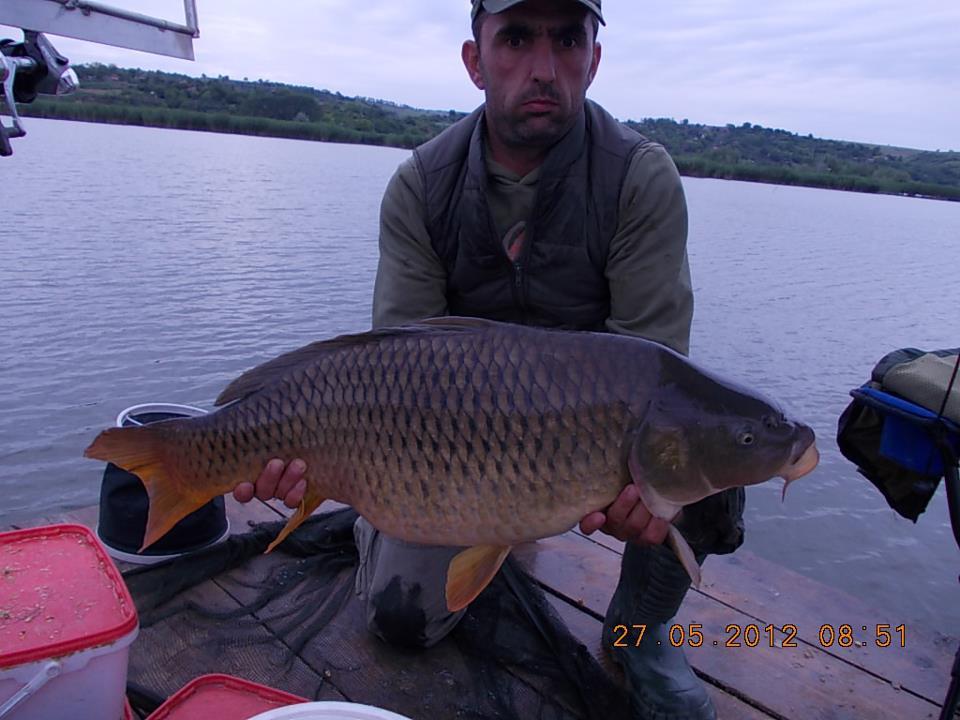 Capturi 2012 - 18,6 kg